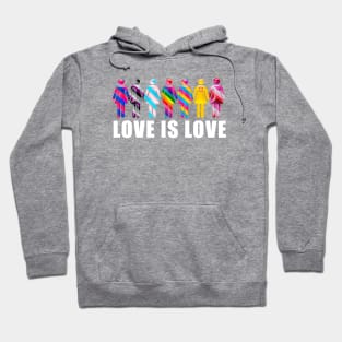 Love is Love with Women icons in LGTBQi+ flag colors Hoodie